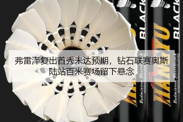 fu-lei-ze-fu-chu-shou-xiu-wei-da-yu-qi-zuan-shi-lian-sai-ao-si-lu-zhan-bai-mi-sai-chang-liu-xia-xuan-nian-2-972.jpg