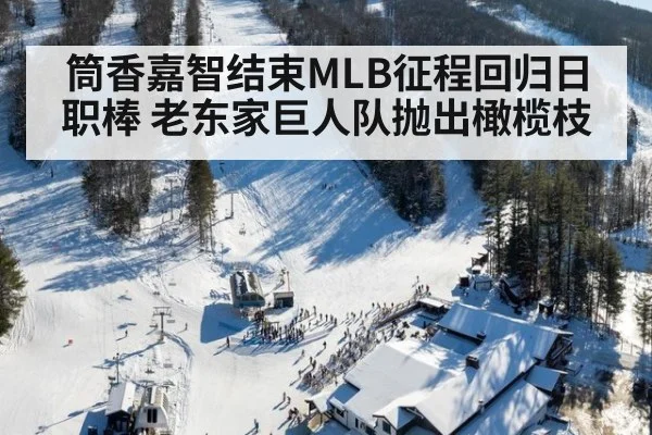 筒香嘉智结束MLB征程回归日职棒 老东家巨人队抛出橄榄枝