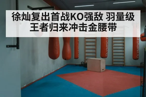徐灿复出首战KO强敌 羽量级王者归来冲击金腰带